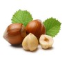 FlavourArt - Aroma Concentrato Nocciola 10ml [CON TASSELLO]