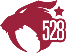 528 custom vapes