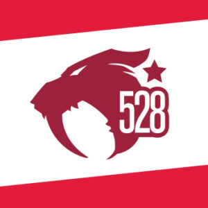 528 Custom Vapes